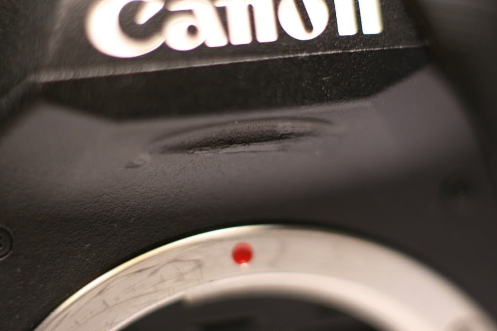 Touch Up Paint for Canon Camera Body's for cheap! 5 Canon Digital